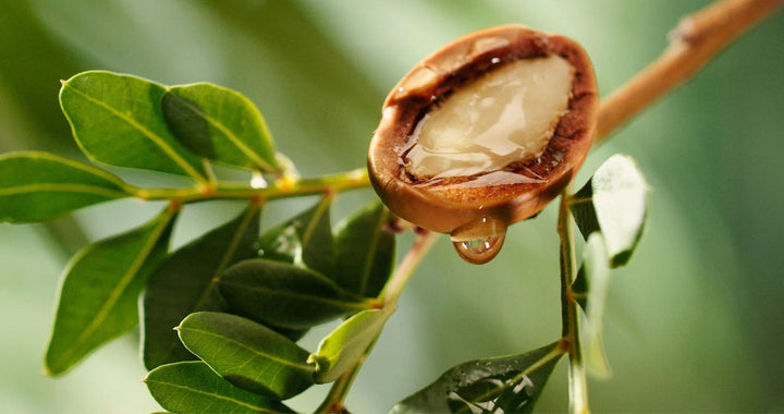 Zolut Beauty Argan Oil