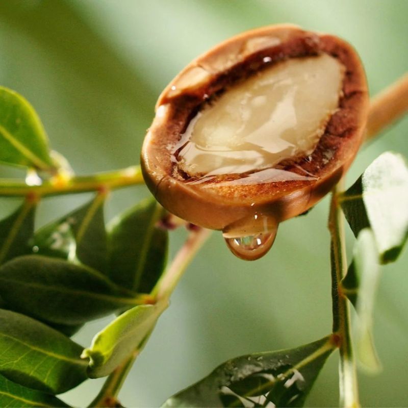 Lightweight argan conditioner